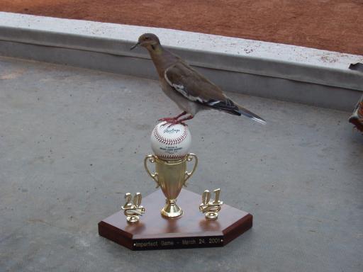 Phoenix 2004