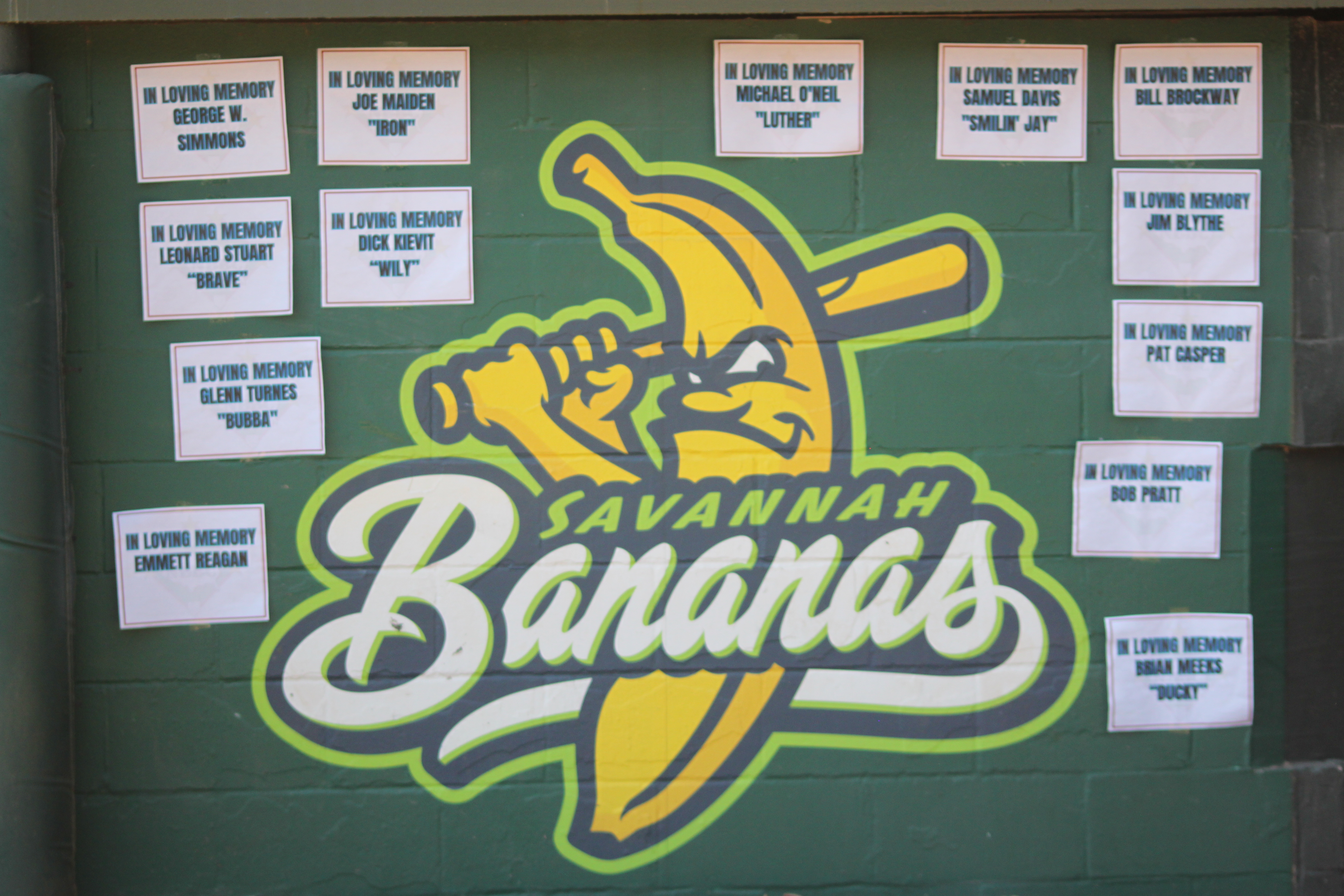 Savannah Bananas 2024